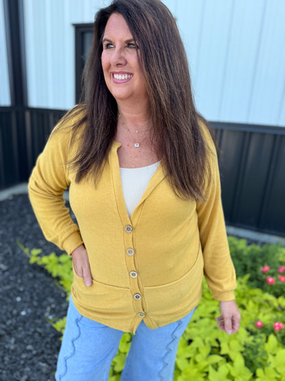 Brushed Hacci Knit Top Buttoned Cardi