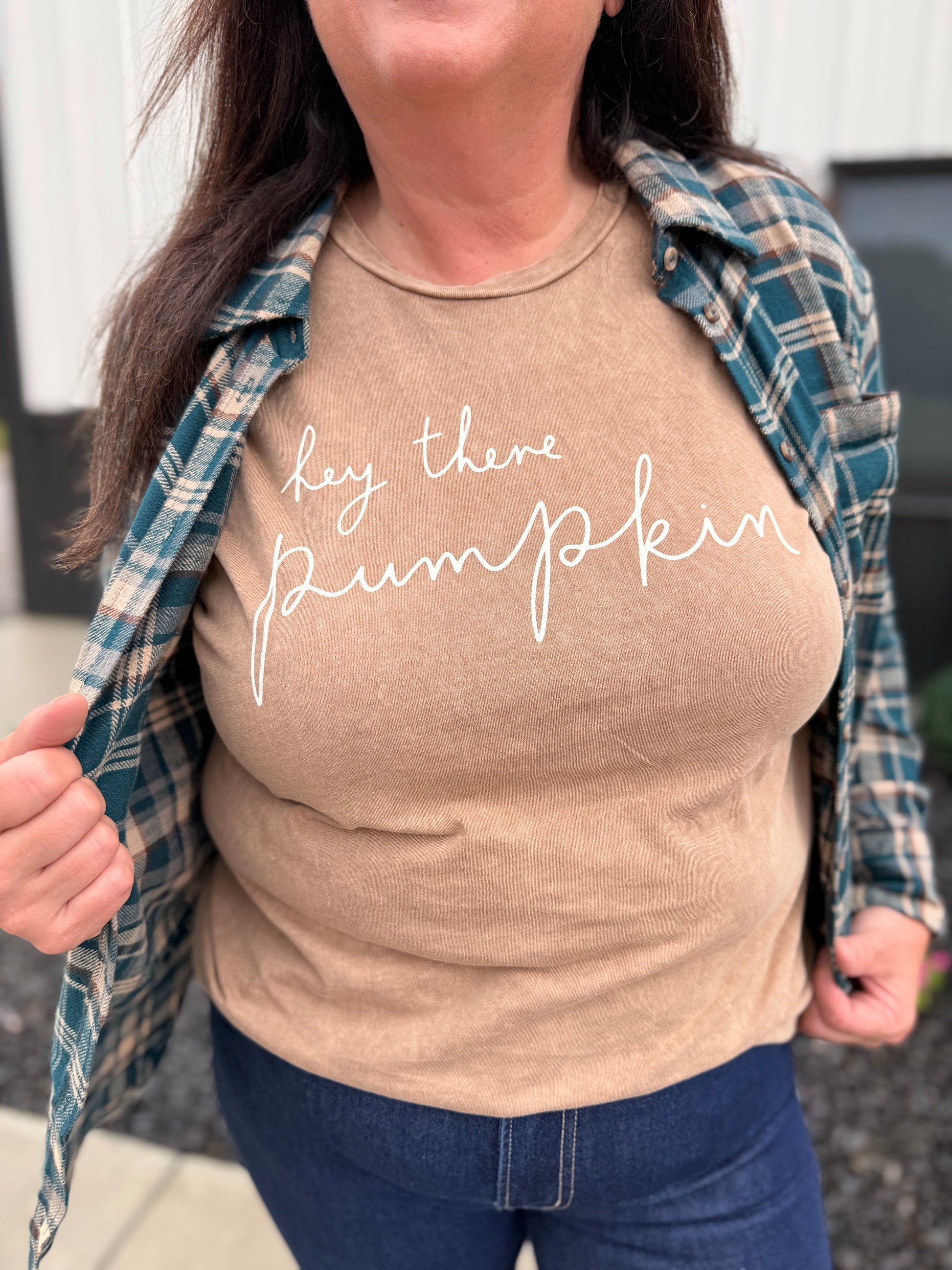 Hey There Pumpkin Mineral Washed Graphic Top