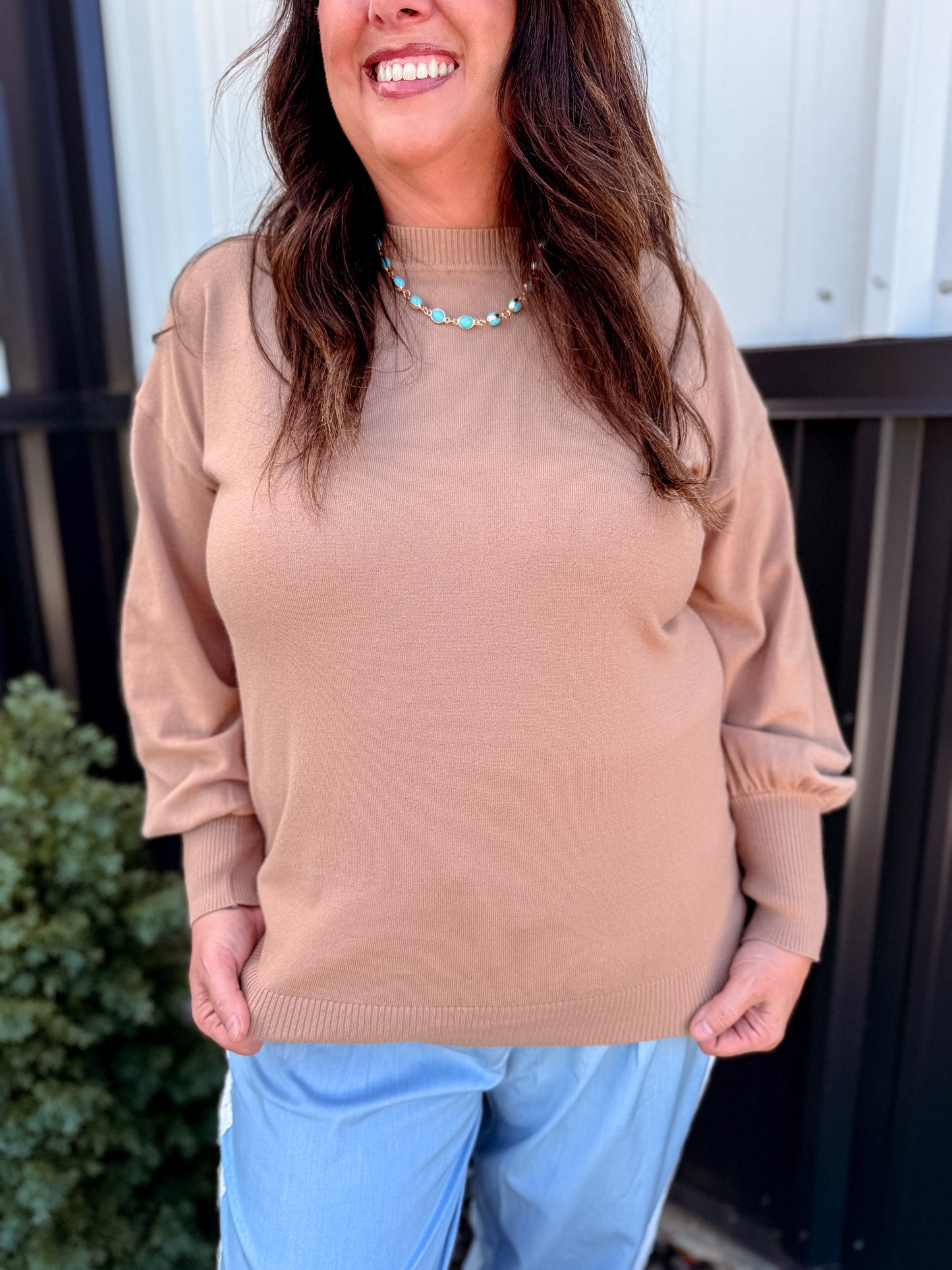 Crew Neck Balloon Long-Sleeve Knitted Sweater Top